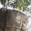 화홍초등학교 이미지