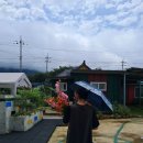 달마고도민박 이미지