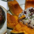 백년오리 이미지