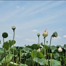 지명연농장 이미지