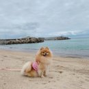 동이네펜션민박 이미지