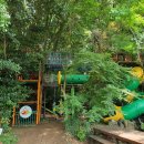 느량 | 제주 가볼만한 곳, 환상숲곶자왈 숲체험 후기