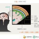 올리브소아청소년과의원 이미지