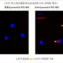 엔솔 - 제주시 1100로 3348 | 엔솔