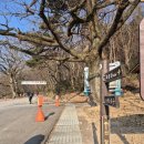 비석1교 | 선암사에서 조계산 장군봉 지나 천자암 쌍향수 보고 송광사까지! 이 길이 참 좋다