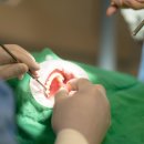 네오치과기공소 이미지