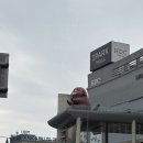 용산 아이파크몰 | 신라 아이파크면세점 미라클뮤즈 방문 및 제품후기