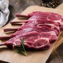 레젼드모터스 이미지