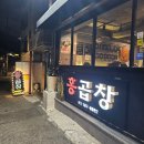 [숙대/남영] 데리야끼 막창 원탑 인생 맛집 홍곱창 내돈내산 후기