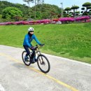 수룡봉황길 이미지