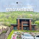 숲속의산책 펜션 | 영천 가볼만한곳 보현산 자연휴양림 숲속의집 펜션 여행 후기