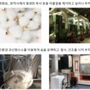 주식회사 태봉