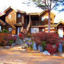 메이페어 데네브 이미지