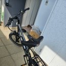 타이어프로 가경점 | 퀄리 엑스트론 시티 500km 한달시승기 리뷰 후기 전기자전거 20ah 48v
