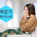 목감기 빨리낫는법 이미지