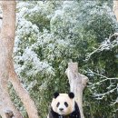 행복한선물 이미지