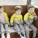 풀잎목장 이미지