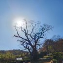 천곡 마을회관 이미지