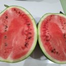 해피마트 이미지