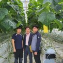 엘케이팜 이미지