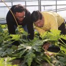 영현농장 이미지