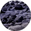 고산목장2 이미지