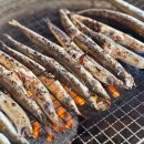 구이파파(구이파는아빠) | 속초 오징어난전 양미리 도루묵 구이 맛집 가격 내돈내산