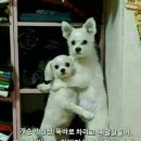 같이 이미지