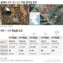 "북한 풍계리 핵실험장 '대기상태' 유지" 38노스 이미지