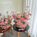자매의뜰 이미지