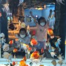 단양갈비백반 이미지