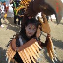 서울참새 이미지