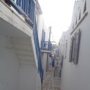 리틀미코노스3 이미지