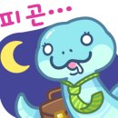 와우펫앤쥬 부산점 이미지