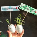 Niceday | 좋은날에 nice day 집들이 토퍼 크리스마스 토퍼 사용 후기