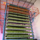 자동목장 이미지