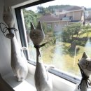 샤인하우스 이미지