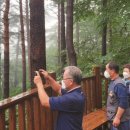 소나무목장 이미지