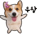 지주 헤어 살롱