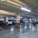 칠괴 우림필유 이미지