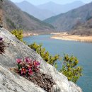 동강의품속 이미지