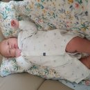 재준이집 이미지