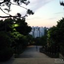 제2기 암벽등반교실 기초반 | [2019.5 / 서울 야경 명소] 응봉산 팔각정 - 야간 데이트 코스로 추천해요~