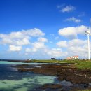 구좌 해안도로 이미지