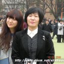 정아 Daum카페
