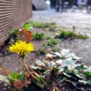 파리바게트앞 이미지