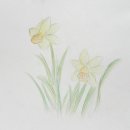 청평중학교 이미지