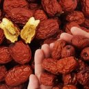 보은농장2 이미지