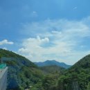 포레스트리솜 이미지