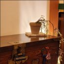 백두전자 | 신혼 부부 호캉스 호텔로 완벽했던 신림호텔, 호텔 백두강산 후기